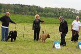 EXPO - DOGUE DU TIBET 089